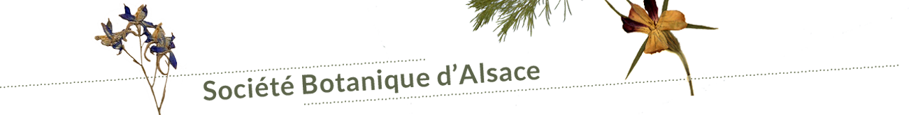 Société Botanique d'Alsace